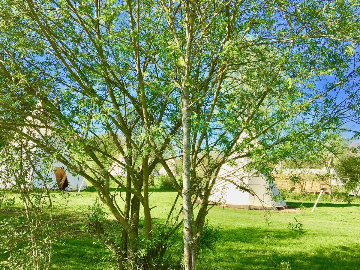 Hotel Les Tipis Du Bonheur De Vivre Brûlon Exterior foto